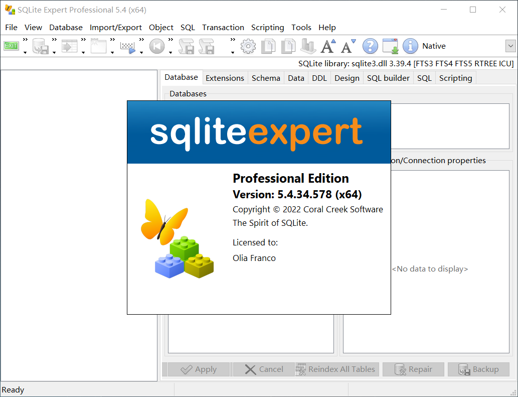 SQLite Expert Pro v5.4.34.578 数据库可视化管理工具 特别版