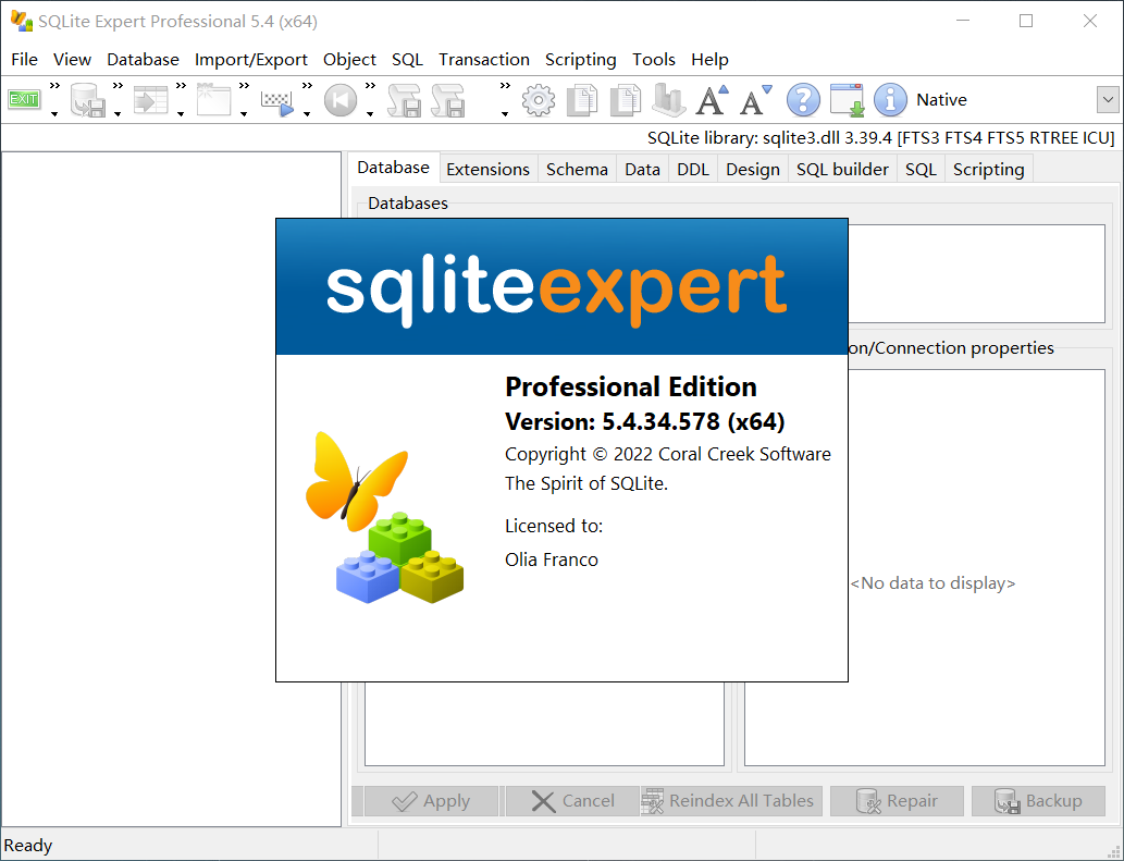 图片[1]-数据库可视化管理工具 SQLite Expert Pro v5.5.12.623特别版-永恒心锁-分享互联网