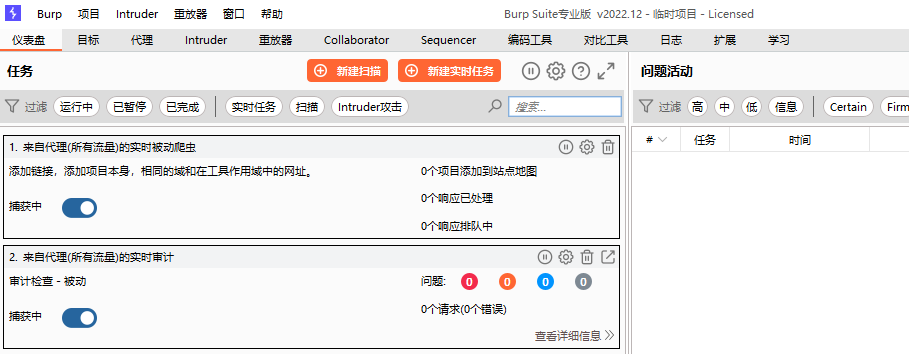图片[8]-burpsuite pro/plus v2025.3.3汉化特别版-永恒心锁-分享互联网
