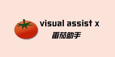 图片[1]-Visual Assist 2024.6 v10.9.2530特别版-永恒心锁-分享互联网