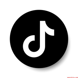Android 手机 TikTok v38.4.3免拔卡解锁全球版/Pluginv 1.63国际版配套插件-永恒心锁-分享互联网