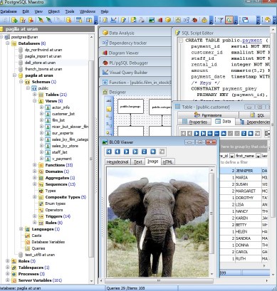 图片[1]-PostgreSQL Maestro v24.9.0.1特别版-永恒心锁-分享互联网